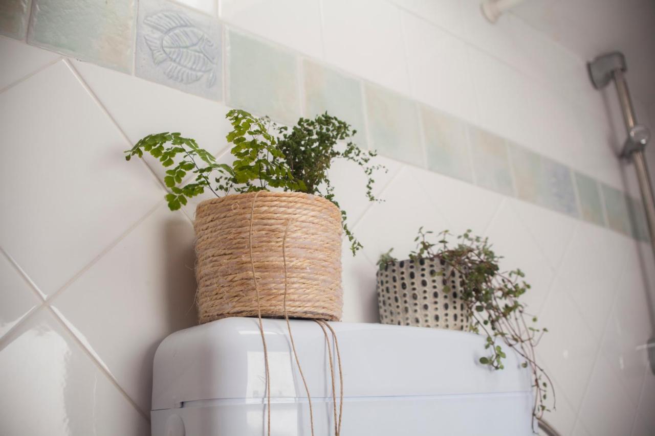 Amarilis Rooms Grožnjan Dış mekan fotoğraf