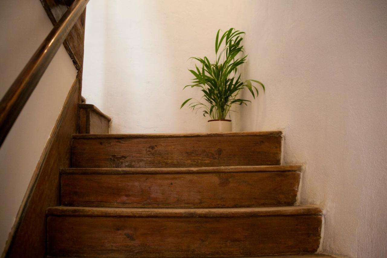 Amarilis Rooms Grožnjan Dış mekan fotoğraf